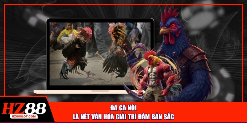 Đá gà nòi là nét văn hóa giải trí đậm bản sắc