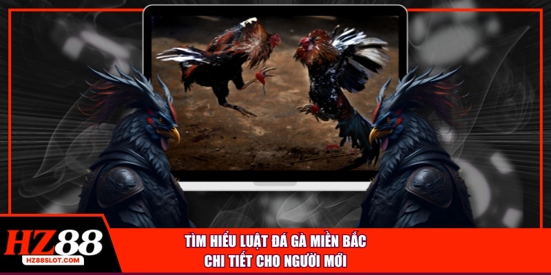 Tìm hiẻu luật đá gà miền bắc chi tiết cho người mới